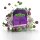 Massiv’s | Zahnstocher - Black Lebanese • Grape Mint • 100 Zahnstocher